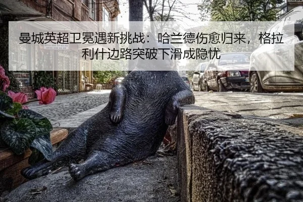 man-cheng-ying-chao-wei-mian-yu-xin-tiao-zhan-ha-lan-de-shang-yu-gui-lai-ge-la-li-shen-bian-lu-tu-po-xia-hua-cheng-yin-2-981.jpg