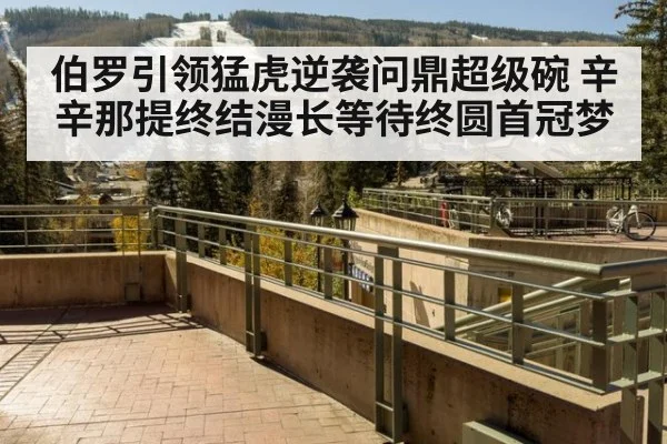 伯罗引领猛虎逆袭问鼎超级碗 辛辛那提终结漫长等待终圆首冠梦